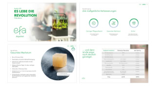 Beispiele aus der PowerPoint-Präsentation für efa Aquarien mit Icons, Fotos und Tabellen. Der Würfel im runden Bild liefert Nährstoffe für bis zu 2 Monate für alle Lebewesen im Aquarium.